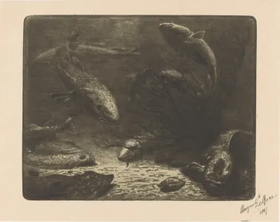 Aquarium