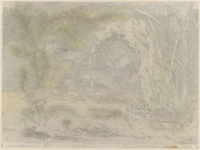 Aquarium met paradijsvissen