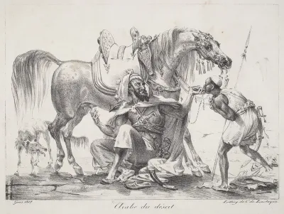 Arabe du désert (Desert Arab)