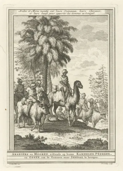 Arabiërs, en Mooren, zittende op hunne kameelen, Peerden en Ossen, om de Gommen naar Senegal te brengen.