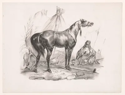 Arabisch paard