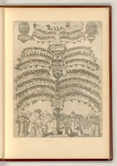 Arbor trium religionum S. Francisci