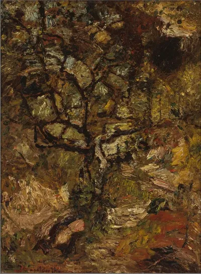 Arbre sur des rochers contre un soleil couchant