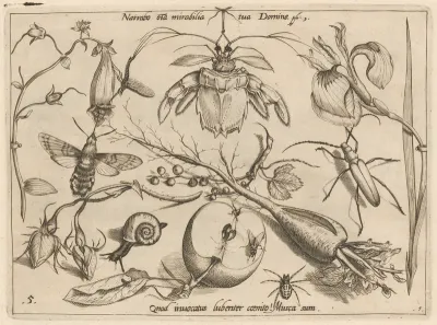 Archetypa studiaque patris Georgii Hoefnagelii [Part 1, Plate 5]