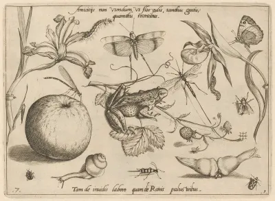 Archetypa studiaque patris Georgii Hoefnagelii [Part 1, Plate 7]