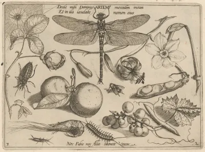 Archetypa studiaque patris Georgii Hoefnagelii [Part 2, Plate 3]