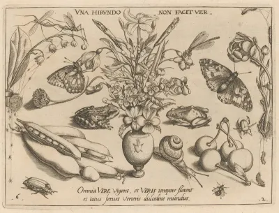 Archetypa studiaque patris Georgii Hoefnagelii [Part 2, Plate 6]