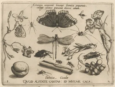 Archetypa studiaque patris Georgii Hoefnagelii [Part 2, Plate 9]