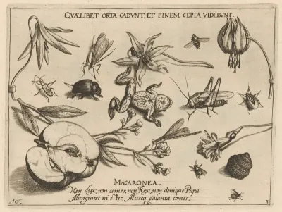 Archetypa studiaque patris Georgii Hoefnagelii [Part 3, Plate 10]