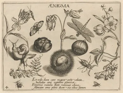 Archetypa studiaque patris Georgii Hoefnagelii [Part 3, Plate 4]