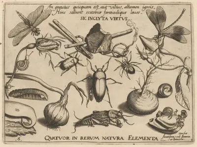 Archetypa studiaque patris Georgii Hoefnagelii [Part 3, Plate 6]
