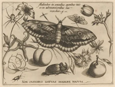 Archetypa studiaque patris Georgii Hoefnagelii [Part 3, Title Page]
