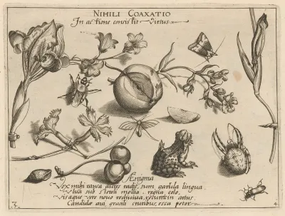 Archetypa studiaque patris Georgii Hoefnagelii [Part 4, Plate 3]