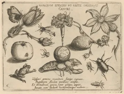 Archetypa studiaque patris Georgii Hoefnagelii [Part 4, Plate 6]