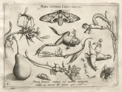 Archetypes and Studies: Death is the line that marks the end of all (Part II, plate 5)
