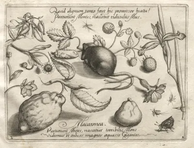 Archetypes and Studies: What can emerge in keeping with such a cavernous promise? (Part IV, plate 2)