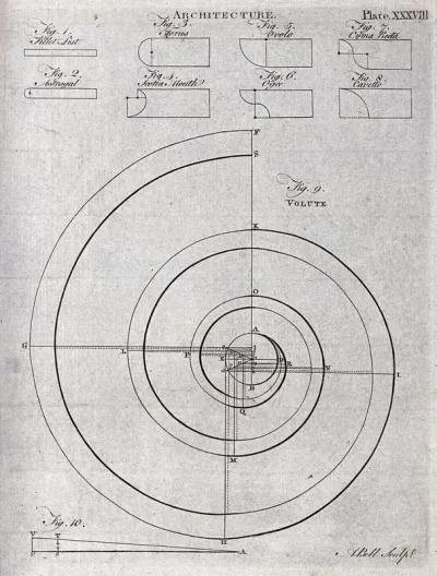 Architecture: an ionic volute and various types of moulding