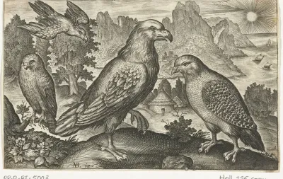 Arend en andere roofvogels