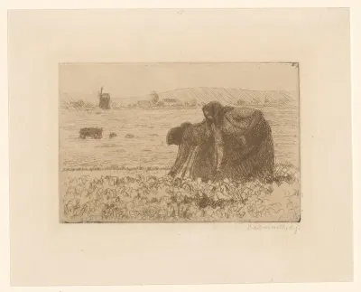 Arenleessters aan het werk in het veld