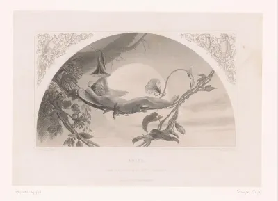 Ariel