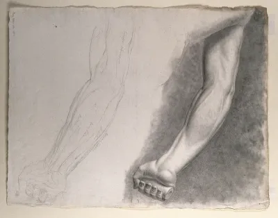 Arm and hand of the 'Borghese Gladiator' statue: drawing made from the statue originally sculpted by Agasias of Ephesus, with an outline diagram of the arm and its muscles, shown below