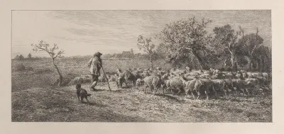 Arrival in the Field
