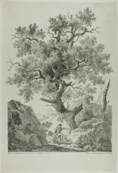 Artist in a Rocky Landscape