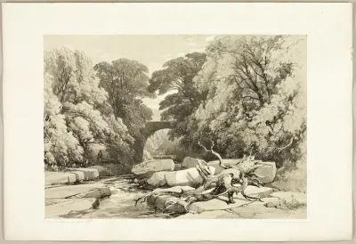 Ash and Alder on the Greta, from The Park and the Forest