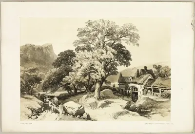 Ash and Oak, from The Park and the Forest