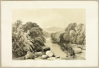 Ash, Sycamore and Oak, from The Park and the Forest