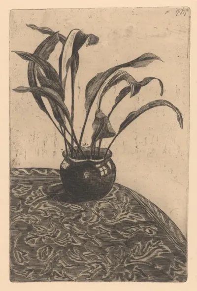 Aspidistra elatior op ronde tafel met kleed (klein zelfportret)