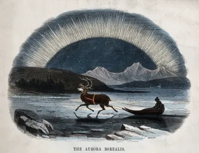 Astronomy: the Aurora Borealis, with a reindeer-drawn sledge in the foreground