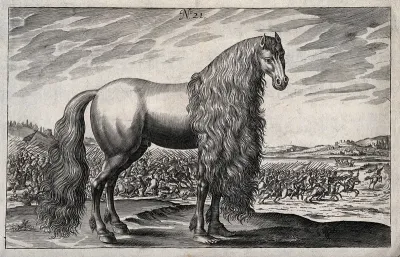 Asturcus, the legendary horse of Julius Caesar, with human forefeet; a battle in the background