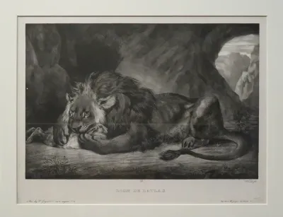 Atlas Lion