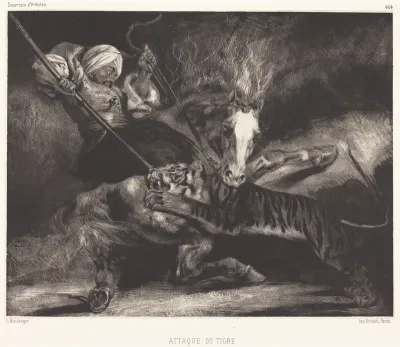 Attaque du tigre