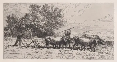 Attelage de Boeufs