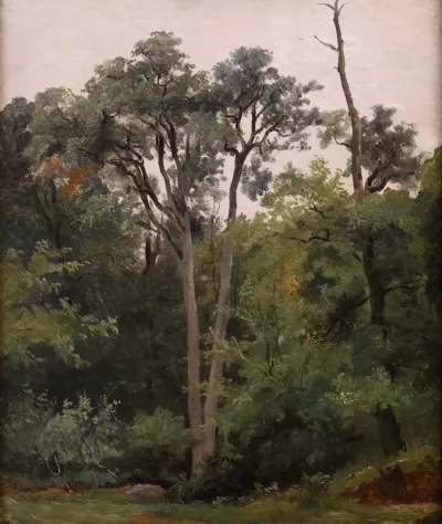 Au Bas-Bréau, à Chailly