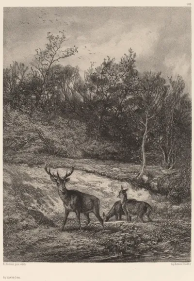Au bord de l'eau