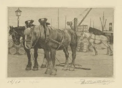 Au repos : Chevaux