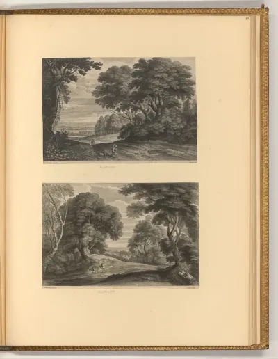 Auenlandschaft