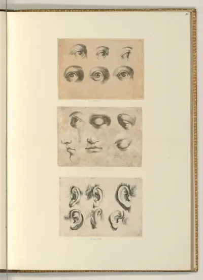 Augen- und Ohrenstudien
