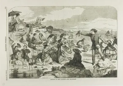 August in the Country—The Seashore