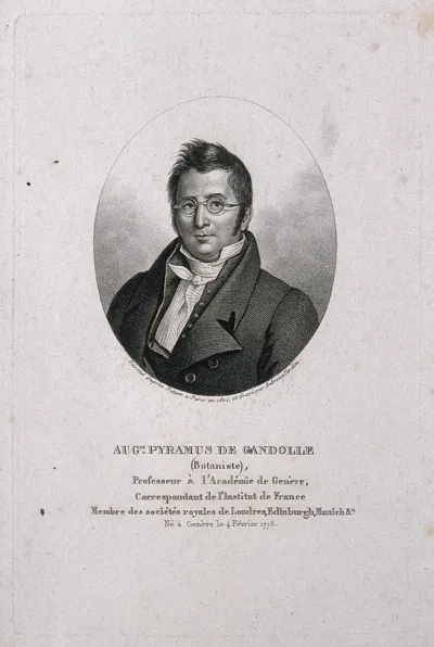 Augustin Pyramus de Candolle