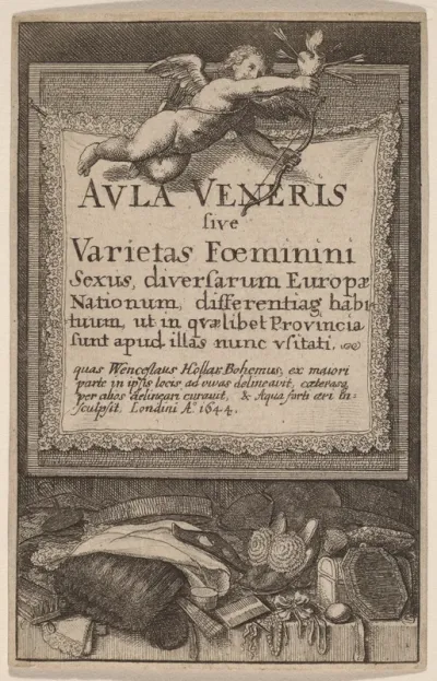 Aula Veneris: Title Page