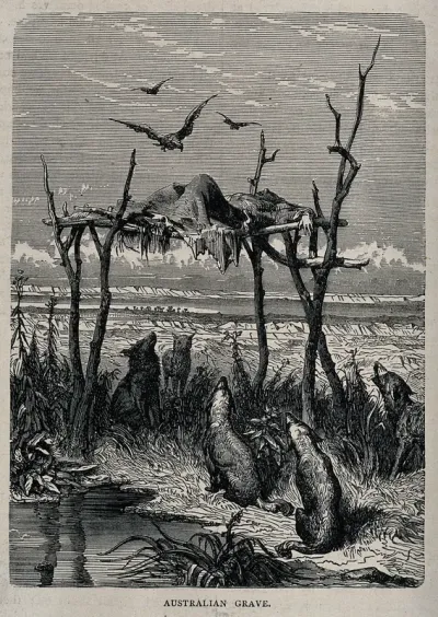 Australia: a dead body placed on an elevated wooden structure; dingos seated below