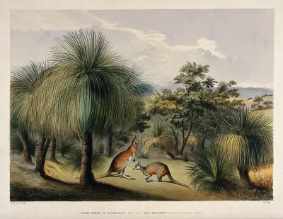 Australian grass trees (Xanthorrhoea species) with red kangaroos (Macropus laniger) at Yankalilla