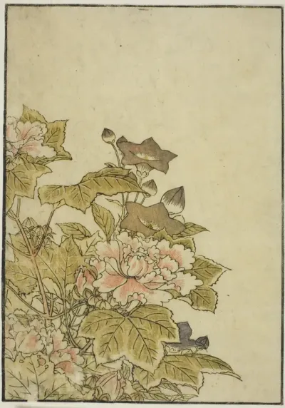Autumn Flowers: Peonies and Bellflowers, from the book "Mirror of Beautiful Women of the Pleasure Quarters (Seiro bijin awase sugata kagami)," vol. ２