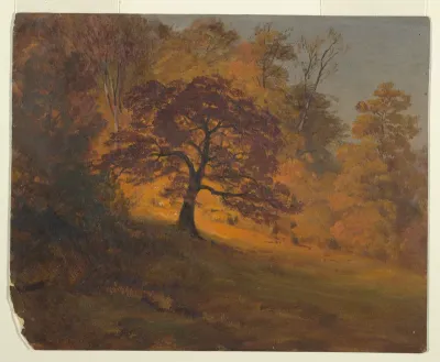 Autumn Foliage