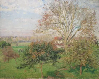 Autumn Morning