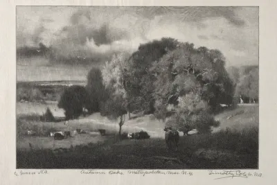 Autumn Oaks